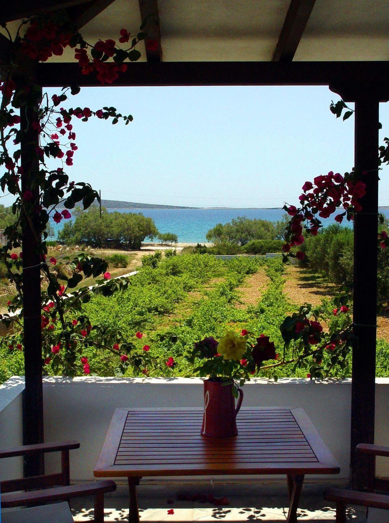 Michalis Apartments Near The Beaches With Sea View Páros Buitenkant foto