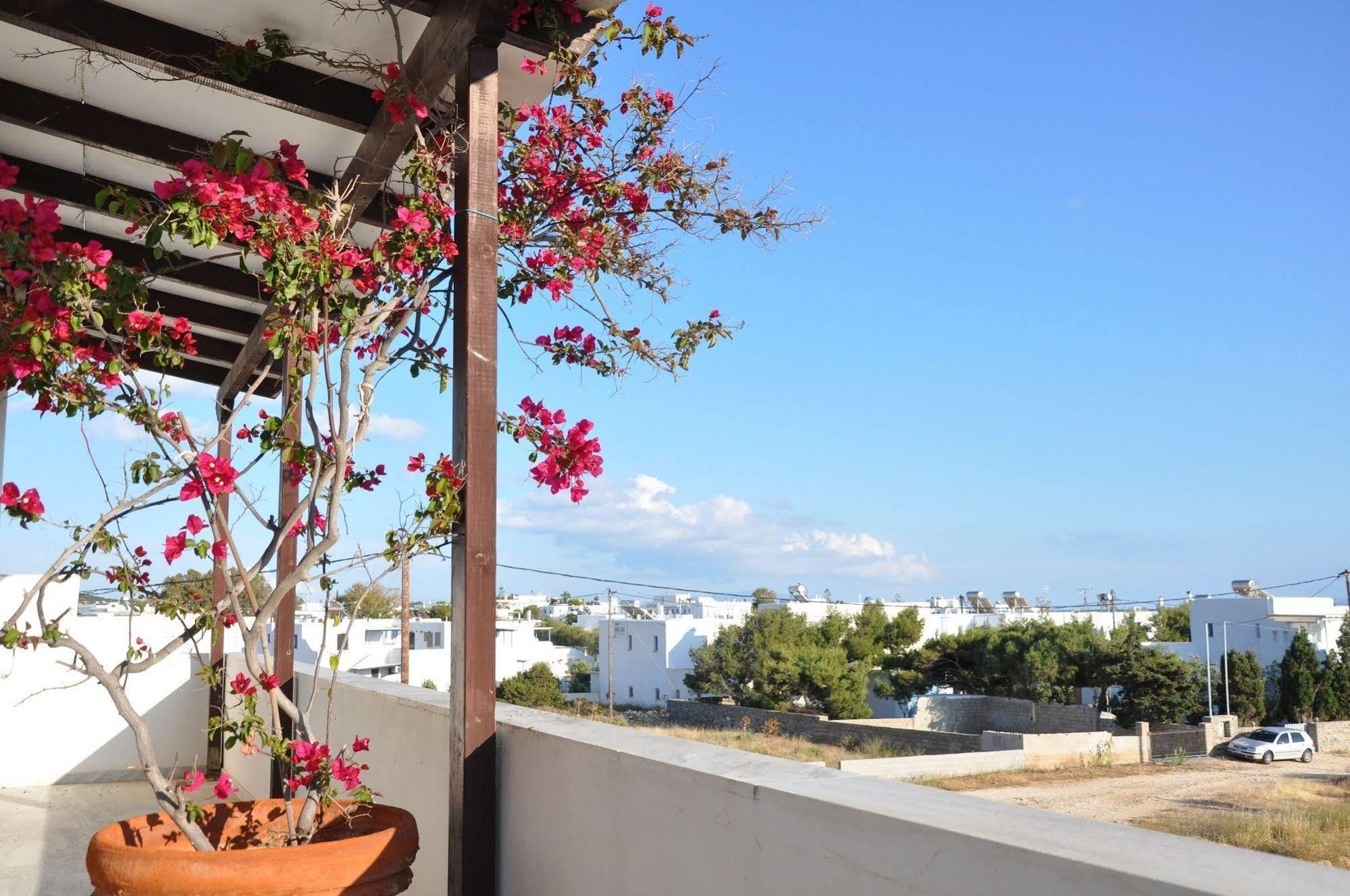 Michalis Apartments Near The Beaches With Sea View Páros Buitenkant foto