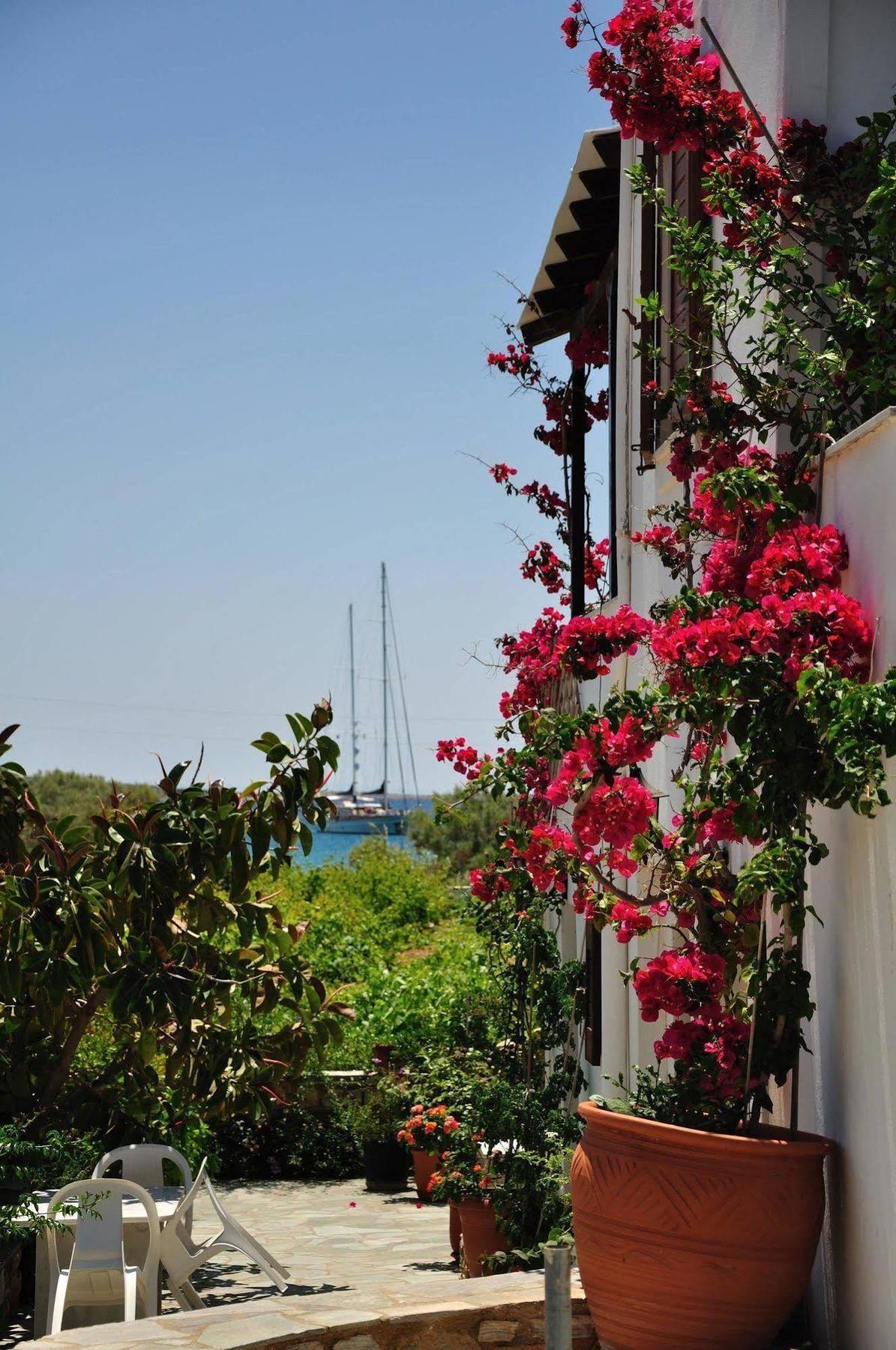 Michalis Apartments Near The Beaches With Sea View Páros Buitenkant foto